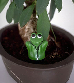 Dr. Frog Electronic Moisture Meter