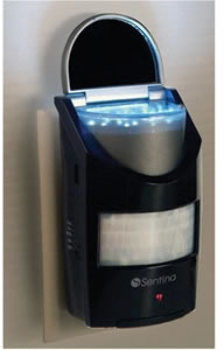 Sentina 15 LED Light Motion Sensor