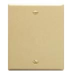 Flush Wall Plate Blank IVORY
