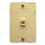 Wall Plate IDC 6P6C IVORY