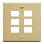 IC107F06IV - 6Port Face Ivory