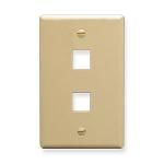 IC107F02IV - 2Port Face Ivory