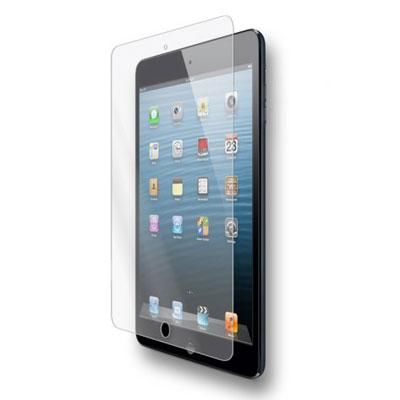 iPad mini Scrn Protector Matte