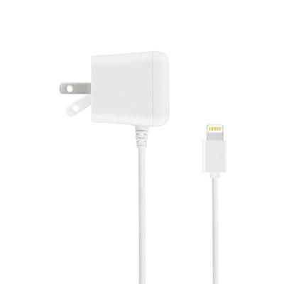 10W Lightning Wall Charger