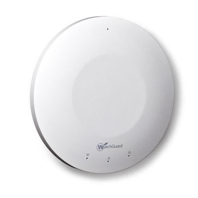 AP100 1 Year LiveSecurity