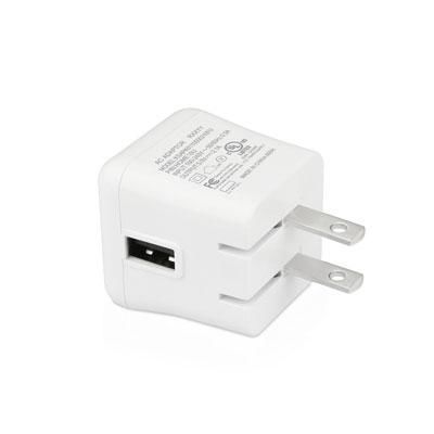 10W USB Home Charger for iPad