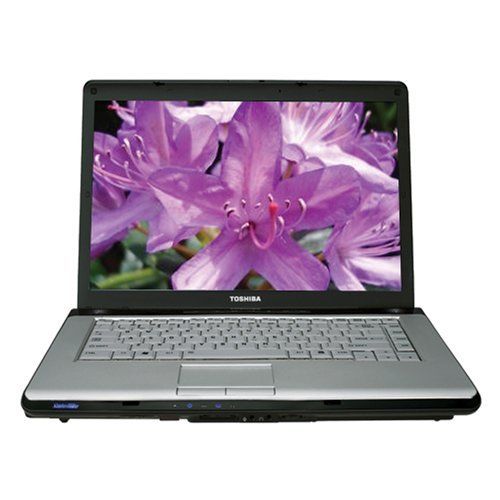 Toshiba Satellite A215-S5808 AMD Athlon 64 TK-55 X2 1.8GHz 2GB 120GB DVD 15.4'' Vista (Onyx Blue)