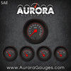 5 Gauge Set -  SAE Omega Black , Red Modern Needles, Black Trim Rings ~ Style Kit Installed