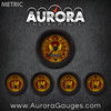 5 Gauge Set -  Metric Phoenix Series, Black Modern Needles, Black Trim Rings ~ Style Kit Installed