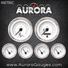 6 Gauge Set -  Metric Mudflap Gray Text, White, Black Modern Needles, Chrome Trim Rings ~ Style Kit Installed