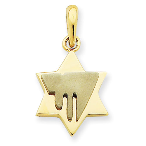 Star of David Pendant in 14kt White & Yellow Gold - Tasteful - Unisex Adult