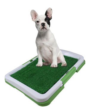 Potty Pad Tray - Indoor Outdoor Doggie Pet Grass Patch Bathroompotty 