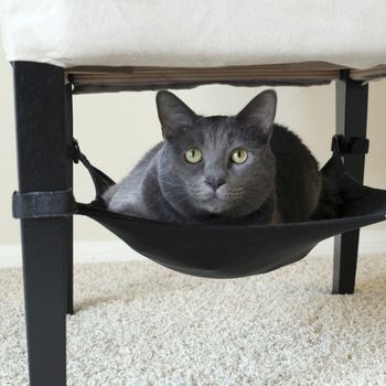 Cat Chair Hammock