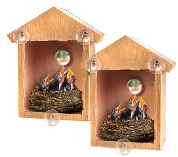 2 See Through Two way Mirrored Bird House Suction Cup Window