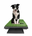 Large Potty Pad w/ Front Tray - Indoor Outdoor Doggie Pet Grass Patch Bathroom