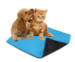 Washable Absorbent Pet Pee Pad -  Medium