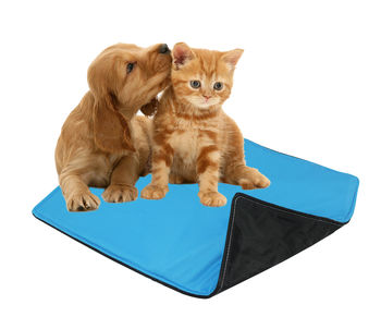 Washable Absorbent Pet Pee Pad -  Medium