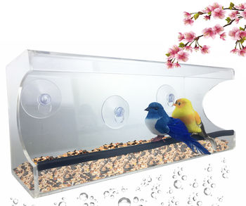 Large Window Suction Cup Bird Feeder - Clear, Removable Tray & Drain Holes