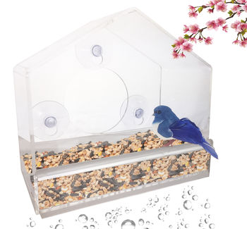 Window Bird Feeder - Clear, Removable Tray & Drain Holes