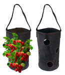 Vertical Garden Hanging Planter 7 Hole Bag for Strawberry & Bare Root Plants Felt Material