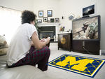 Michigan Rug 4x6 46""x72""