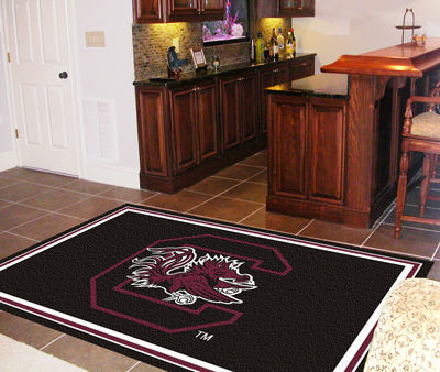 South Carolina Rug 4x6 46""x72""south 