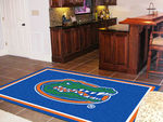 Florida Rug 5x8 60""x92""
