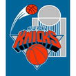 New York Knicks Royal Plush Raschel NBA Blanket (Plusch Series) (50x60")"