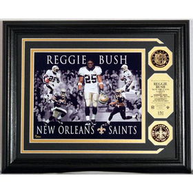 Reggie Bush Dominance" Photo Mint W/ 2 24Kt Gold Coins"reggie 