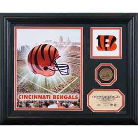 CINCINNATI BENGALS NFL Team Pride" Photo Mint"cincinnati 