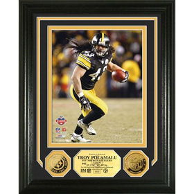 Troy Polamalu 24KT Gold Coin Photo Minttroy 