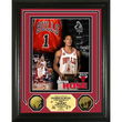 Derrick Rose 2008 ? 09 NBA Rookie of the Year 24KT Gold Coin Photo Mint
