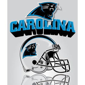 Carolina Panthers Light Weight Fleece NFL Blanket (Grid Iron) (50x60)carolina 
