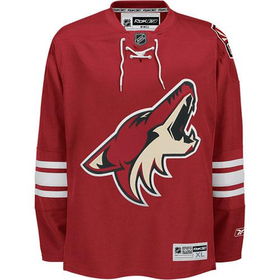 Phoenix Coyotes NHL 2007 RBK Premier Team Hockey Jersey (Team Color) (Large)phoenix 