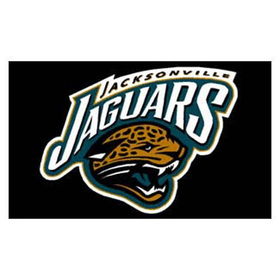 Jacksonville Jaguars NFL 3x5 Banner Flag (36x60)jacksonville 
