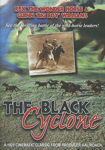 BLACK CYCLONE (DVD)black 