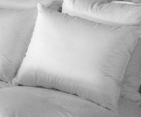 Natural Sleep Down Pillow 500 Countnatural 