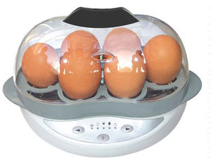 Egg Cooker Whiteegg 